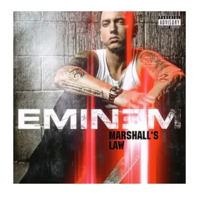Eminem Hip Hop & Rap Music Albums Cover Printed on Canvas - Image 2
