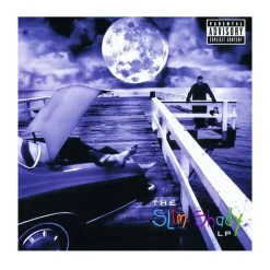 Eminem Hip Hop & Rap Music Albums Cover Printed on Canvas - Image 11
