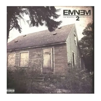 Eminem Hip Hop & Rap Music Albums Cover Printed on Canvas - Image 8
