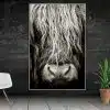 Scottish Highlander Cattle Wall Art Painting Printed on Canvas