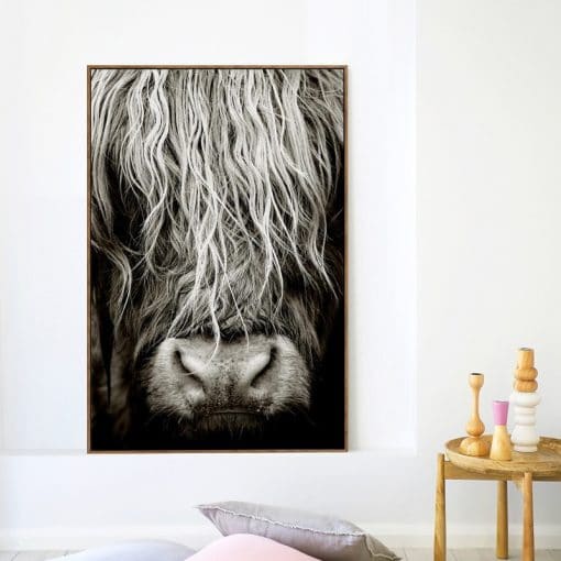 Scottish Highlander Cattle Wall Art Picture Printed on Canvas