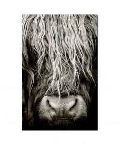 Scottish Highlander Cattle Wall Art Painting Printed on Canvas