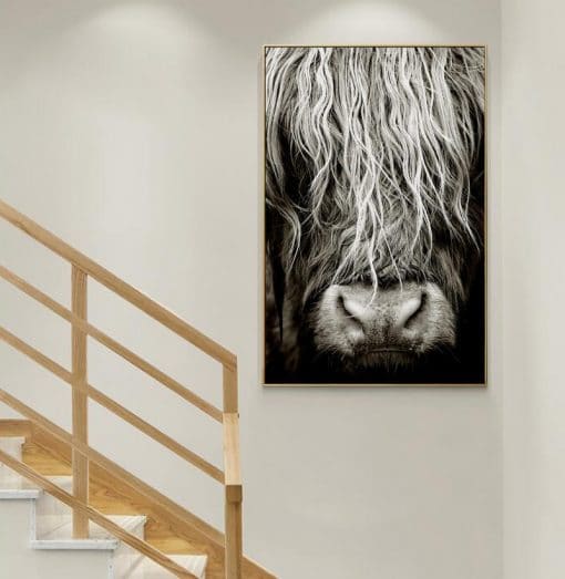 Scottish Highlander Cattle Wall Art Picture Printed on Canvas