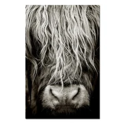 Scottish Highlander Cattle Wall Art Painting Printed on Canvas