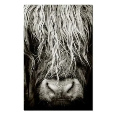 Scottish Highlander Cattle Wall Art Painting Printed on Canvas