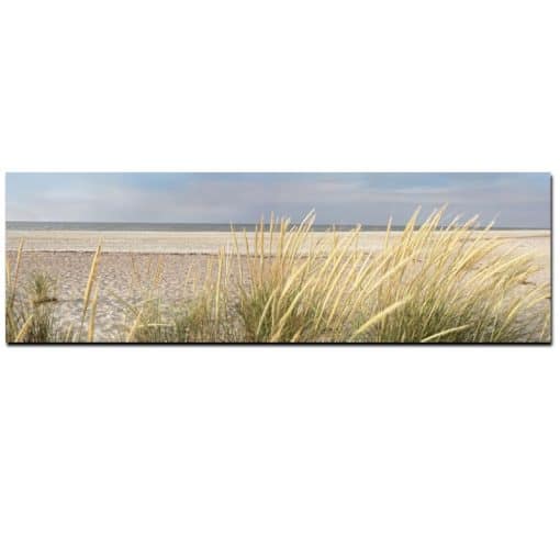 Peaceful Seascape with Grass around the Beach, Modern Art Printed on Canvas