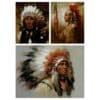 Abstract Native American Indian Feathered Portrait Canvas Painting