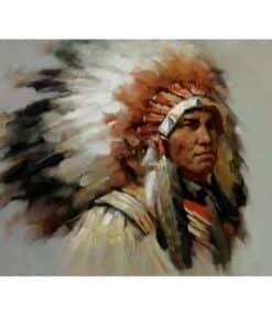 Native American Indian 1