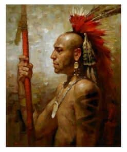 Native American Indian 2