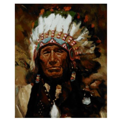 Native American Indian 3