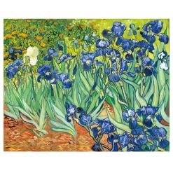 Irises by Vincent van Gogh 1889