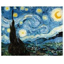 The Starry Night by Vincent Van Gogh 1889