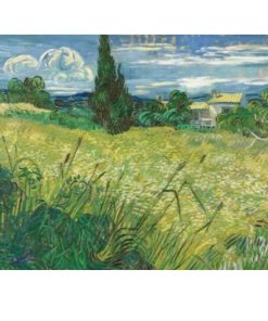 VG25 Green Wheat Field with Cypress 1889