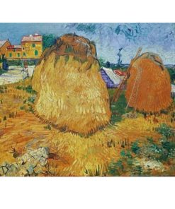 VG26 Haystacks in Provence 1888