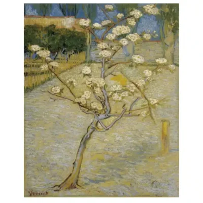 Pear Tree in Blossom 1888