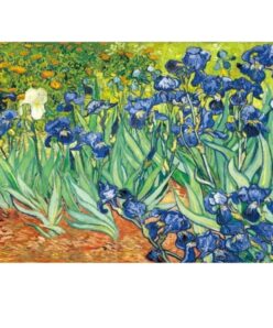 Van Gogh VG01