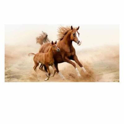 Pictures & Paintings of Horses Eagle Tigers Elephants Printed on Canvas - Image 12
