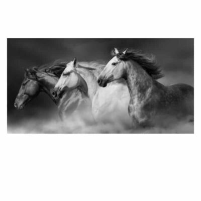 Pictures & Paintings of Horses Eagle Tigers Elephants Printed on Canvas - Image 4