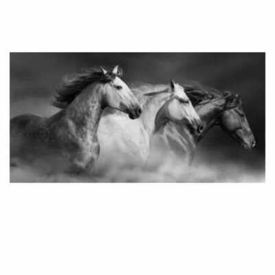 Pictures & Paintings of Horses Eagle Tigers Elephants Printed on Canvas - Image 5