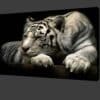 Beautiful White Tiger Modern Animals Poster Printed on Canvas
