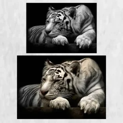 Beautiful White Tiger Modern Animals Poster Printed on Canvas