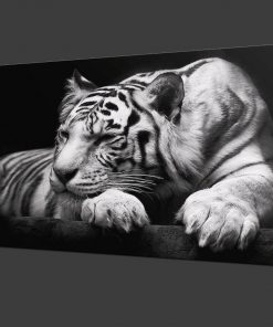 White Tiger Canvas Painting Modern Animals Posters and Prints Cuadros Wall Art Pictures for Living Room Home Decoration Unframed