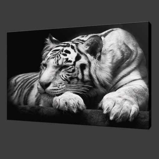 White Tiger Canvas Painting Modern Animals Posters and Prints Cuadros Wall Art Pictures for Living Room Home Decoration Unframed