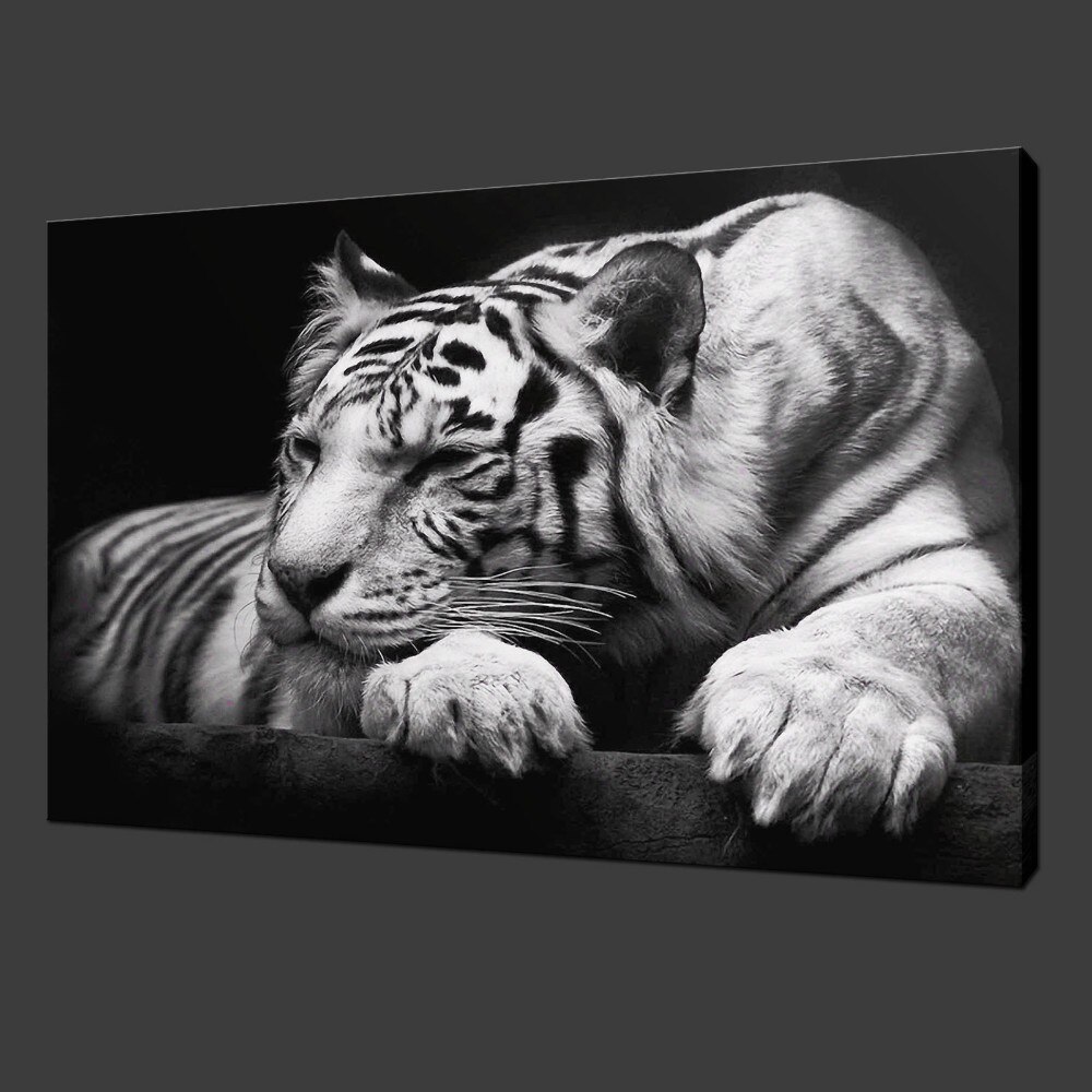 Animal Poster FEMALE WHILE TIGER Photo Poster Print Art A0 A1 A2 A3 A4 3399 