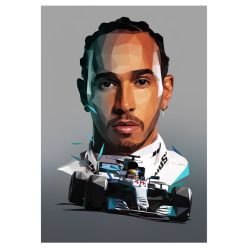 Formula One Racing Driver