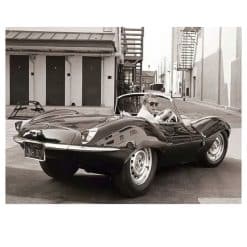 Marilyn Monroe M319
