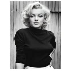 Marilyn Monroe M323