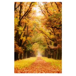 National Park of Netherlands De Hoge Veluwe