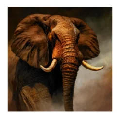 African Elephant Wall Art