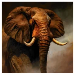 African Elephant Wall Art