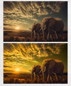 Two Elephants Landscape Wall Art