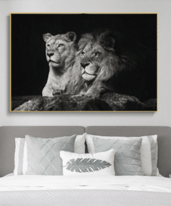 Lion Couple Picture Black and White