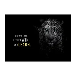 Animal Motivation Wall Art Printed on Canvas - Image 14