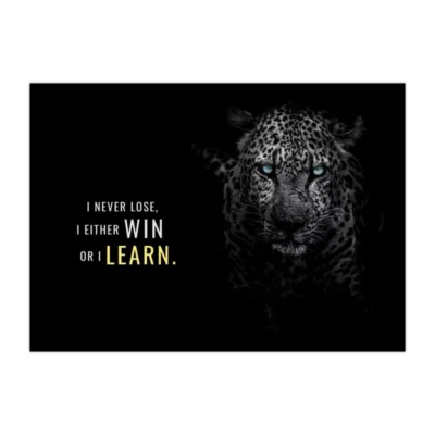 Animal Motivation Wall Art Printed on Canvas - Image 14