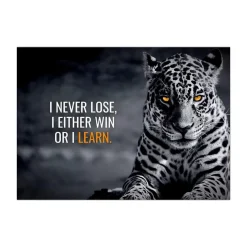 Animal Motivation Wall Art Printed on Canvas - Image 17