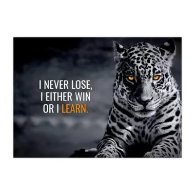 Animal Motivation Wall Art Printed on Canvas - Image 17