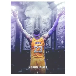 LeBron James Basketball Player (1)