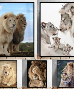 Lion Family Wall Art Decoration Printed on Canvas