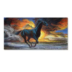 Running Black Horse