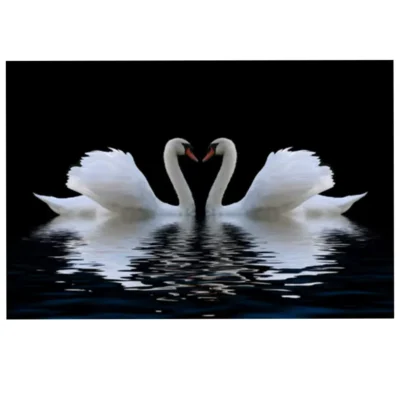Swans in Love On Water Artwork Printed on Canvas - Image 3