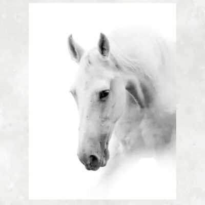White Horses Artwork Printed on Canvas - Image 2