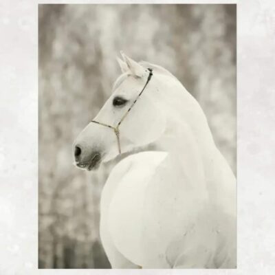 White Horses Artwork Printed on Canvas - Image 3