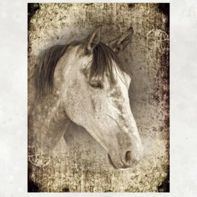 White Horses Artwork Printed on Canvas - Image 4