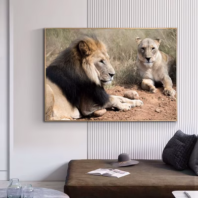 Wild Lion Couple