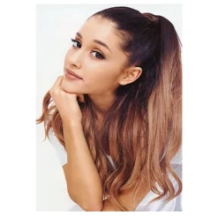 Ariana Grande Singer Artwork Printed on Canvas - Image 2