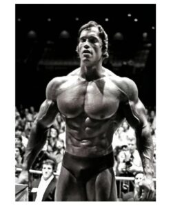 Arnold Schwarzenegger 2 1